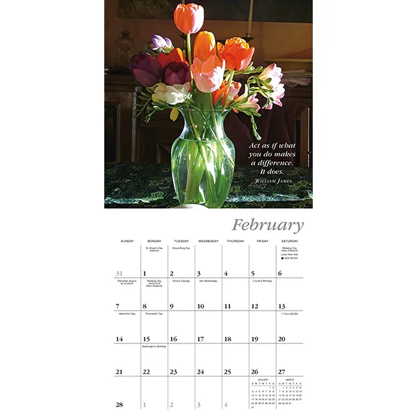 Sellers Publishing Simplicity 2027 minikalender Deborah DeWit