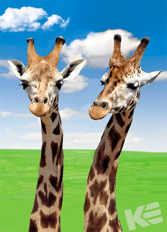 Kurt Eulzer 30-2345 3D-kaart giraffe per stuk