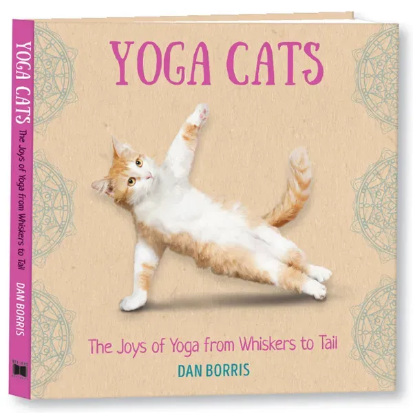 Sellers Publishing Yoga Cats boek kattenfoto's cadeau