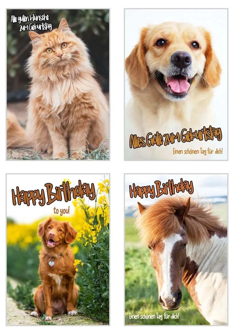 Edition Seidel Premium verjaardagskaarten SW02 set 20 katten honden
