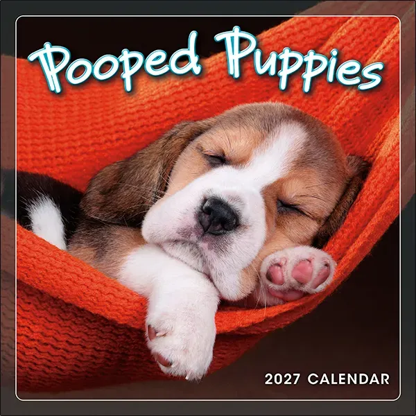 Sellers Publishing Pooped Puppies 2027 minikalender slapende puppy's