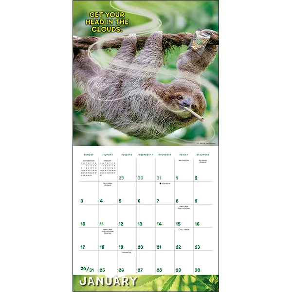 Sellers Publishing Stoner Sloths 2027 wandkalender luiaards