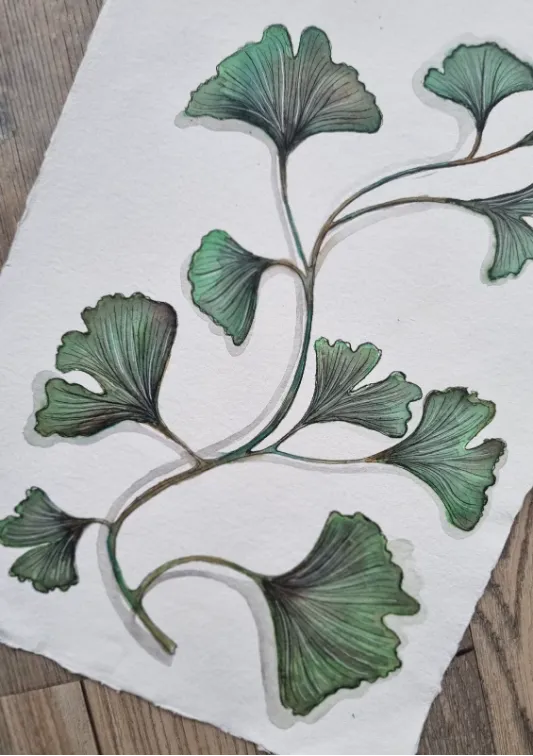 Blad & Beeld Groene ginkgo aquarel Khadi papier print