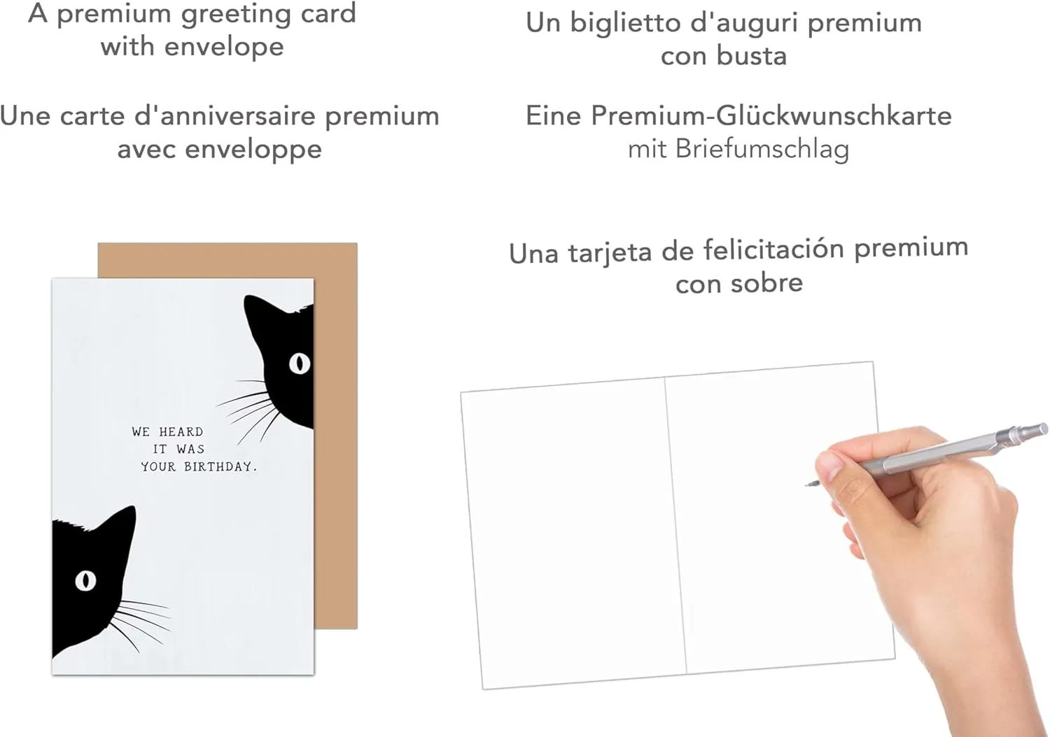 Edition Seidel G3633 SW024 verjaardagskaart kat met envelop