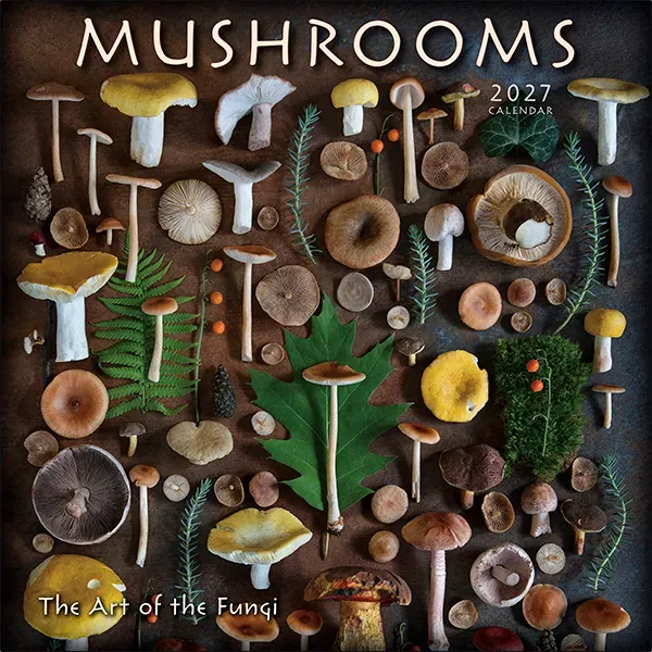 Sellers Publishing Mushrooms 2027 wandkalender paddenstoelen