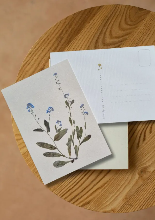 Blad & Beeld Vergeet-me-niet kaart bloemen