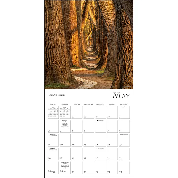 Sellers Publishing Enchanted Pathways 2027 wandkalender bos