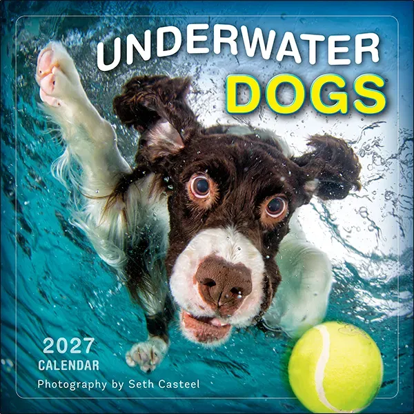 Sellers Publishing Underwater Dogs 2027 wandkalender honden