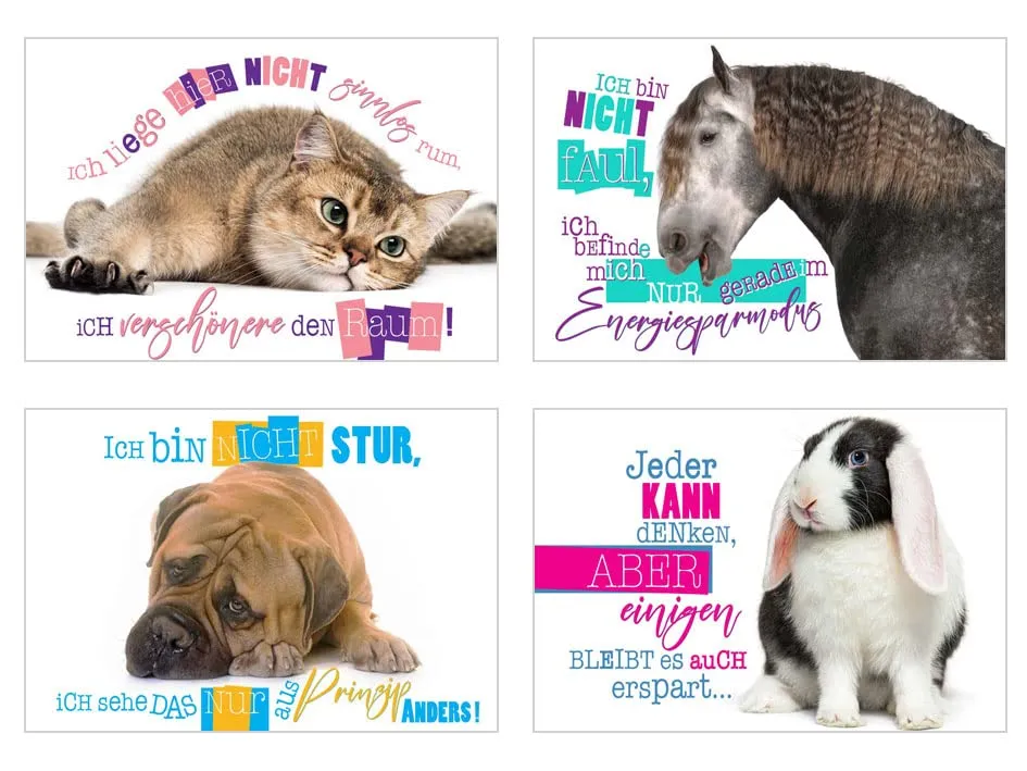 Edition Seidel 23003 postkaarten dieren set 25 grappig