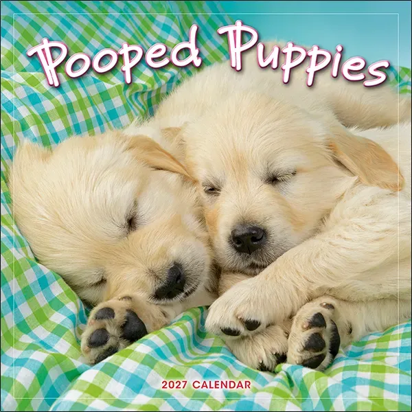 Sellers Publishing Pooped Puppies 2027 wandkalender pups