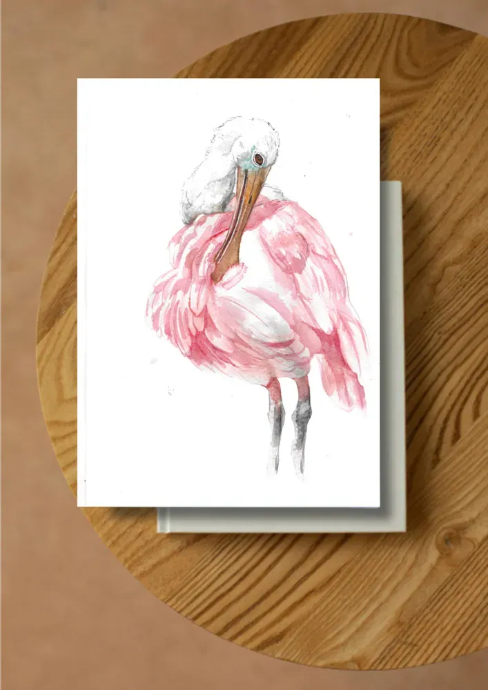 Blad & Beeld Lepelaar kaart vogelillustratie