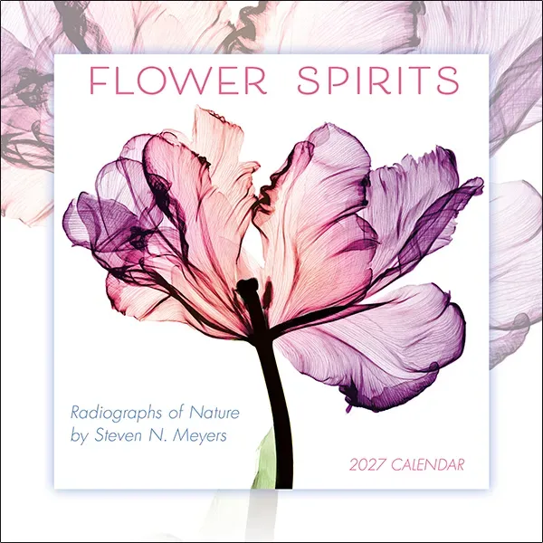 Sellers Publishing Flower Spirits 2027 minikalender bloemen