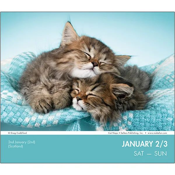 Sellers Publishing Cat Naps 2027 dagkalender katten