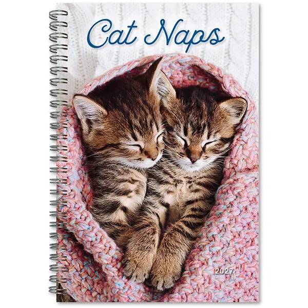Sellers Publishing Cat Naps 2027 weekplanner katten