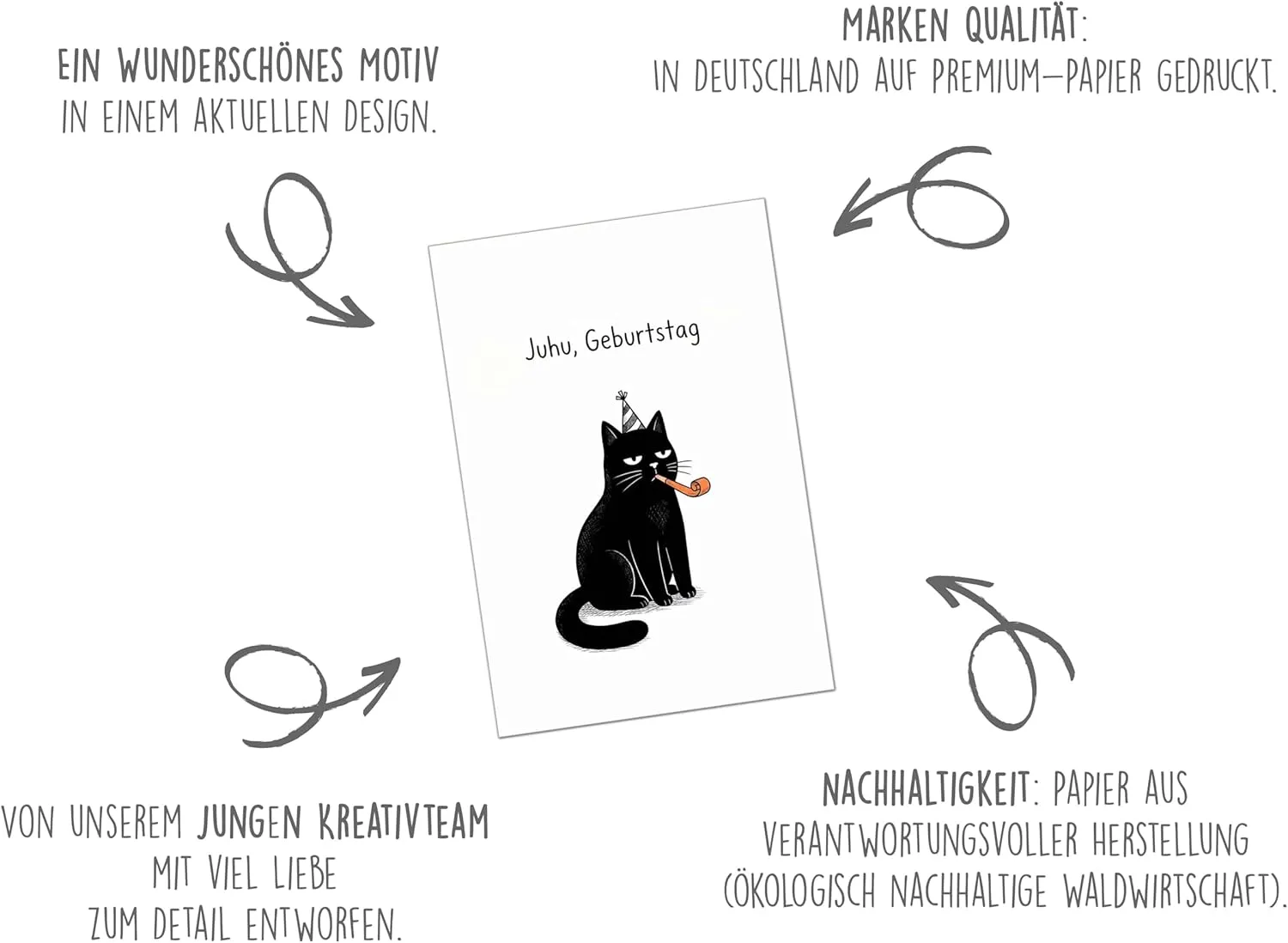 Edition Seidel Premium G3937 verjaardagskaart grumpy kat