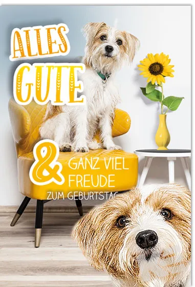 Kurt Eulzer 50-0118 verjaardagskaart hond 3D per stuk