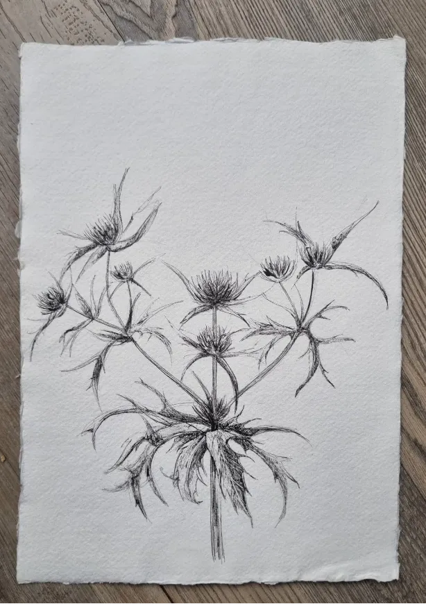 Blad & Beeld Distel khadi papier kaart handgeschept