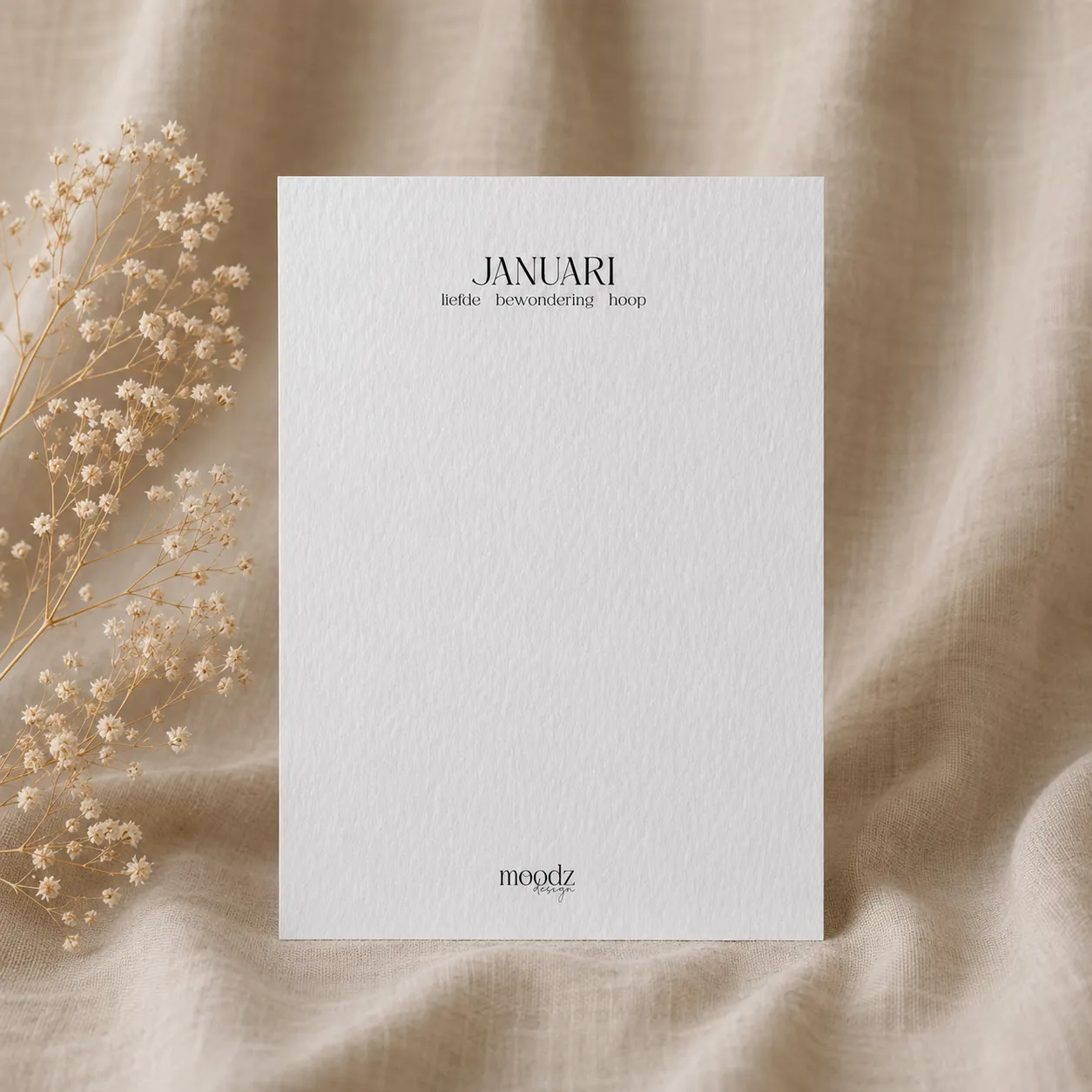 moodz design Geboortebloem Januari anjer kaart A6
