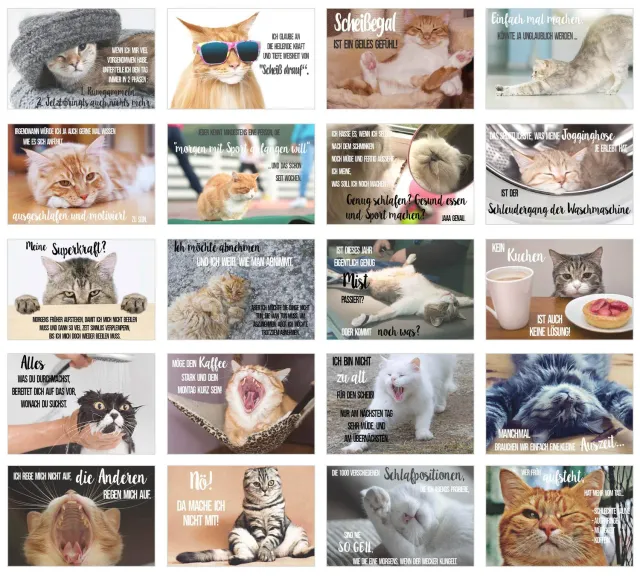 Edition Seidel katten postkaarten 40 stuks met spreuk humor