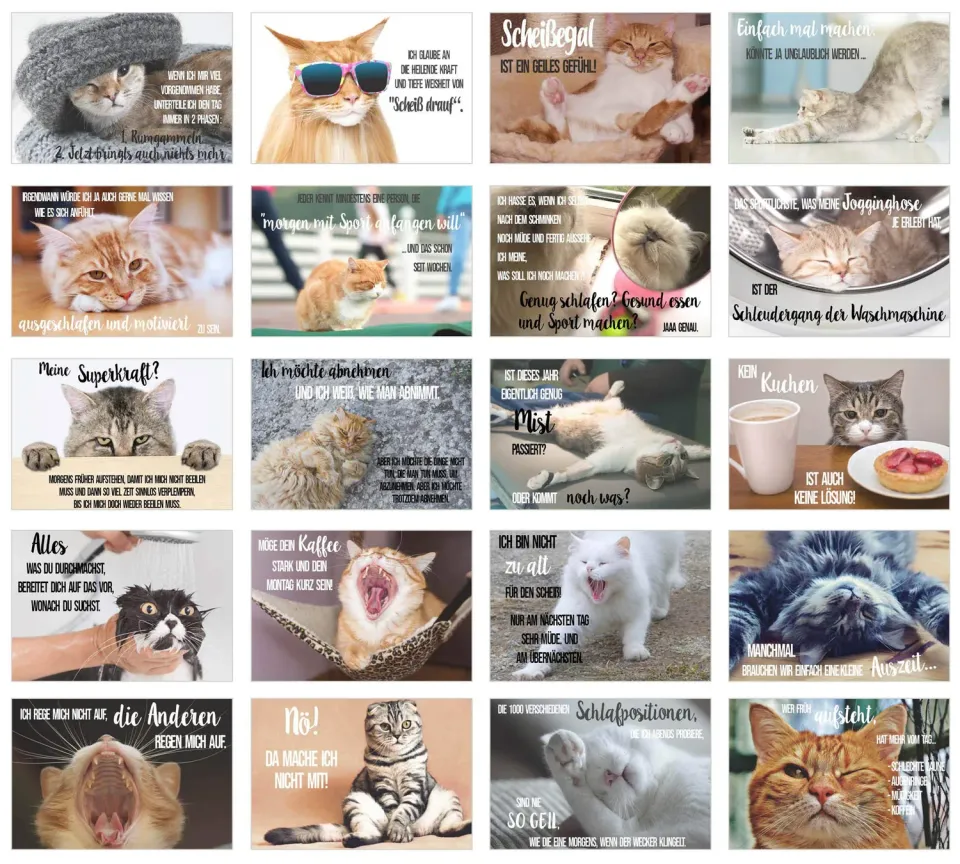 Edition Seidel katten postkaarten 40 stuks met spreuk humor