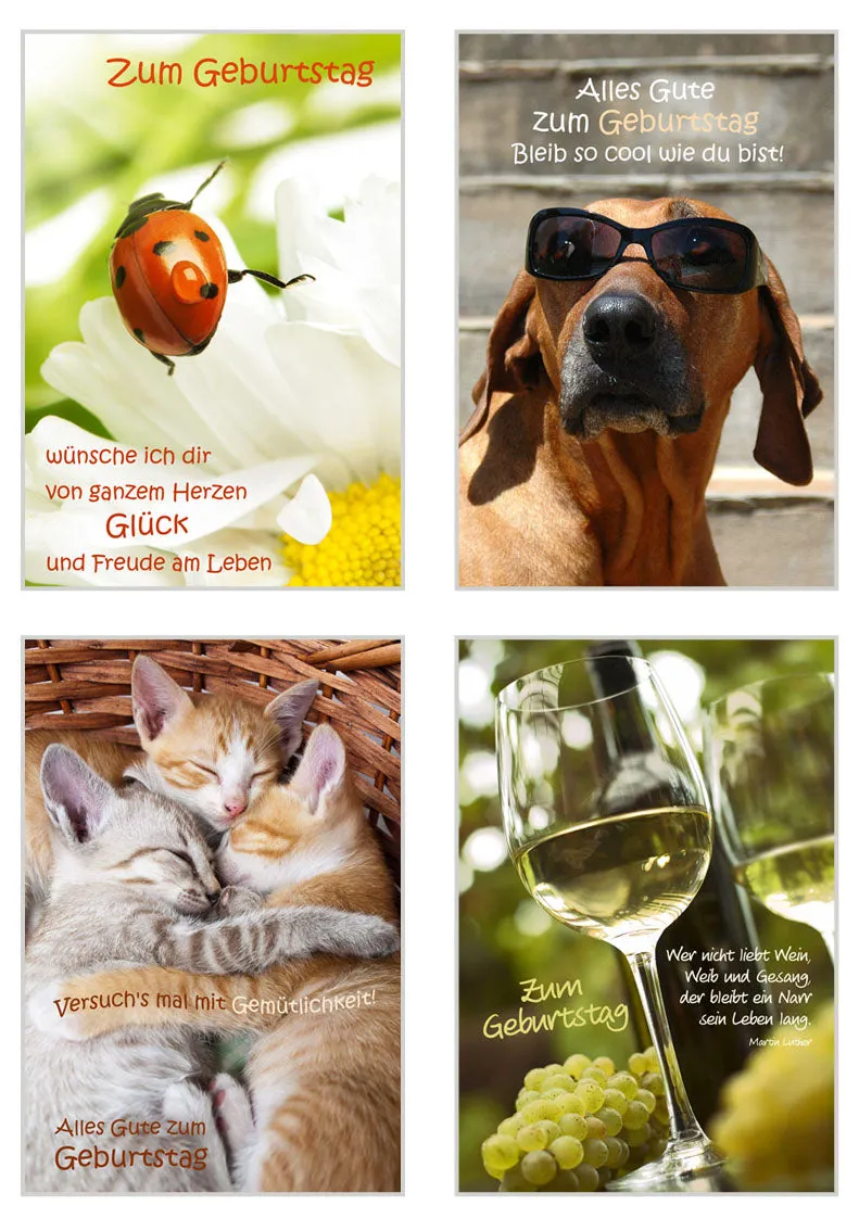 Edition Seidel 20046 verjaardagskaarten set 12 met envelop
