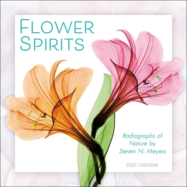 Sellers Publishing Flower Spirits 2027 wandkalender bloemen