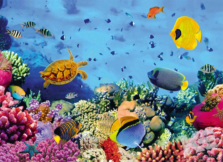 Kurt Eulzer 30-2327 3D-kaart aquarium losse kaart water