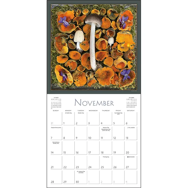 Sellers Publishing Mushrooms 2027 wandkalender paddenstoelen