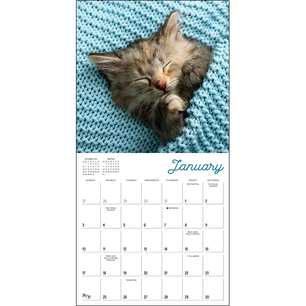Sellers Publishing Cat Naps 2027 wandkalender katten