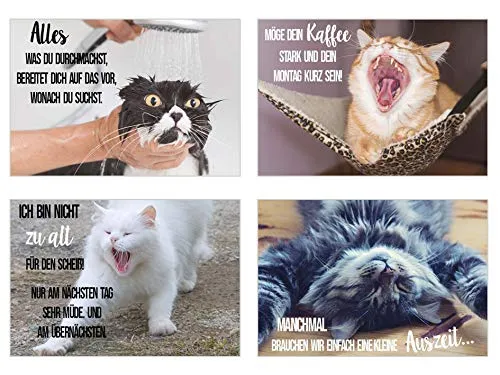 Edition Seidel katten postkaarten 40 stuks met spreuk humor