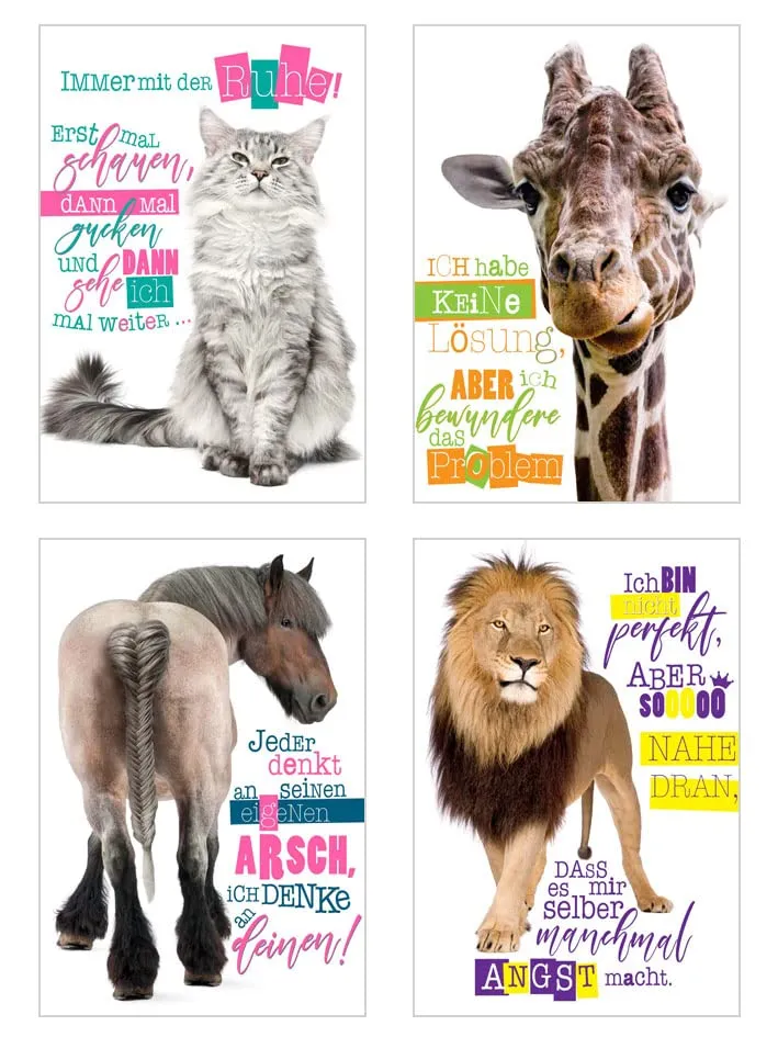 Edition Seidel 23003 postkaarten dieren set 25 grappig