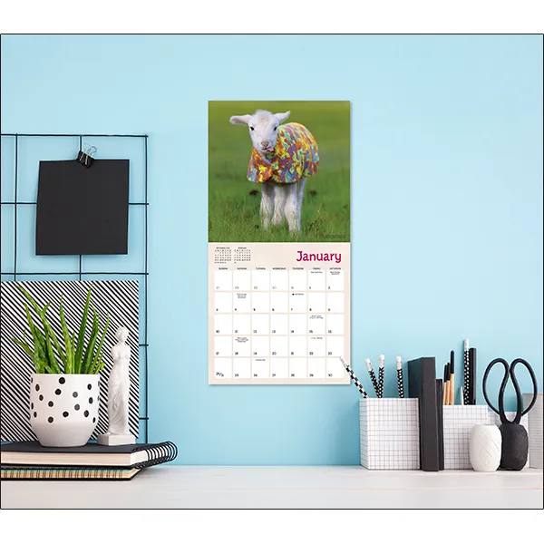 Sellers Publishing Lambies in Jammies 2027 minikalender lammetjes