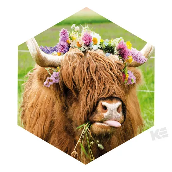 Kurt Eulzer 01-0475 koelkastmagneet zeshoek koe bloemen 3 stuks