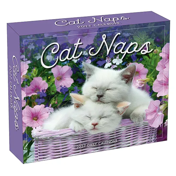 Sellers Publishing Cat Naps 2027 dagkalender katten