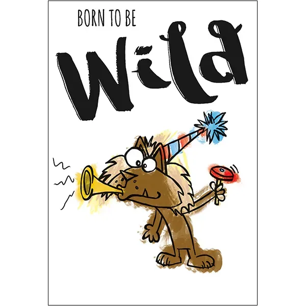 Sellers Publishing Birthday Humor B11843S verjaardagskaart 6 stuks