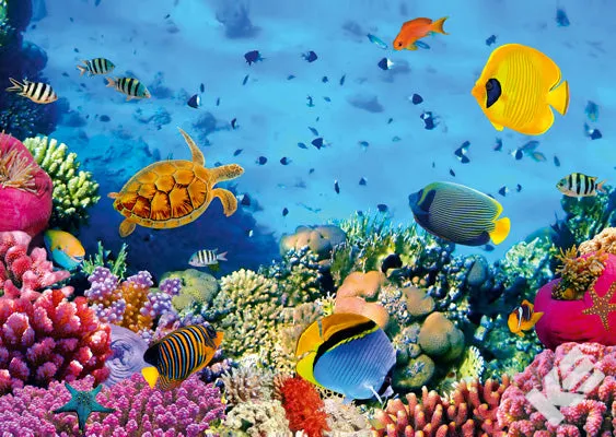 Kurt Eulzer 30-2327 3D-kaart aquarium losse kaart water