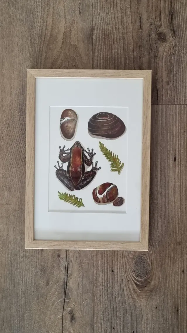 Blad & Beeld Bruine kikker aquarel met lijst