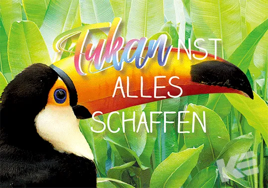 Kurt Eulzer 30-2377 ansichtkaart toekan 3D