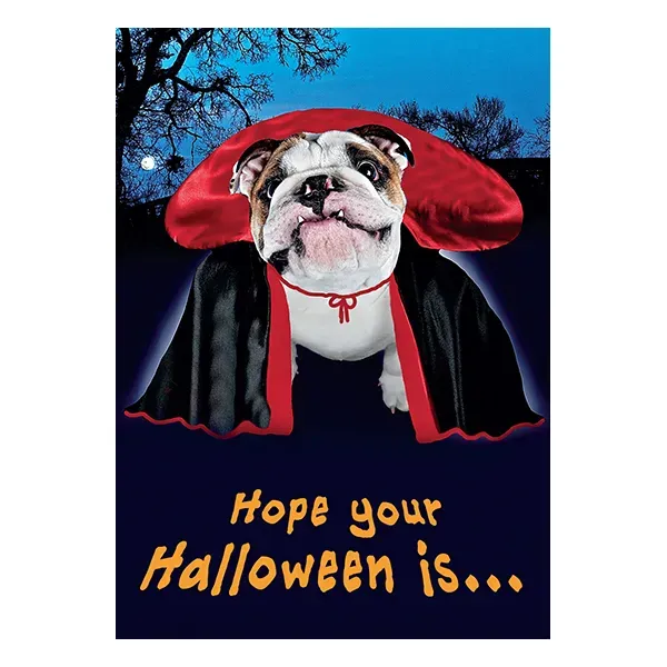 Sellers Publishing Halloween Humor HL3084 wenskaarten 3 stuks grappig