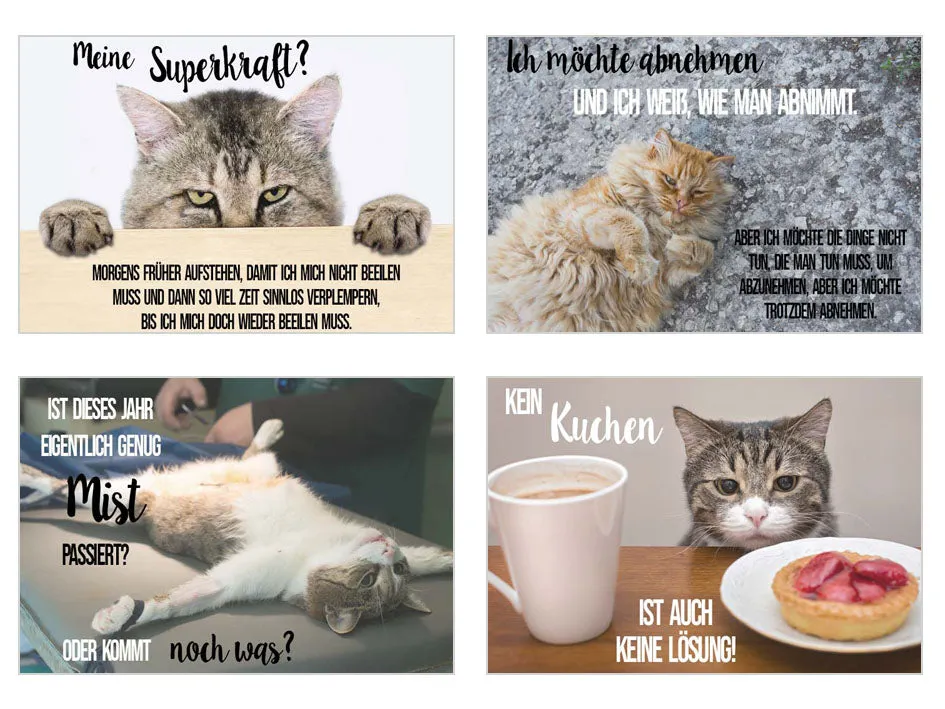 Edition Seidel 20316 postkaarten 20 stuks katten grappig