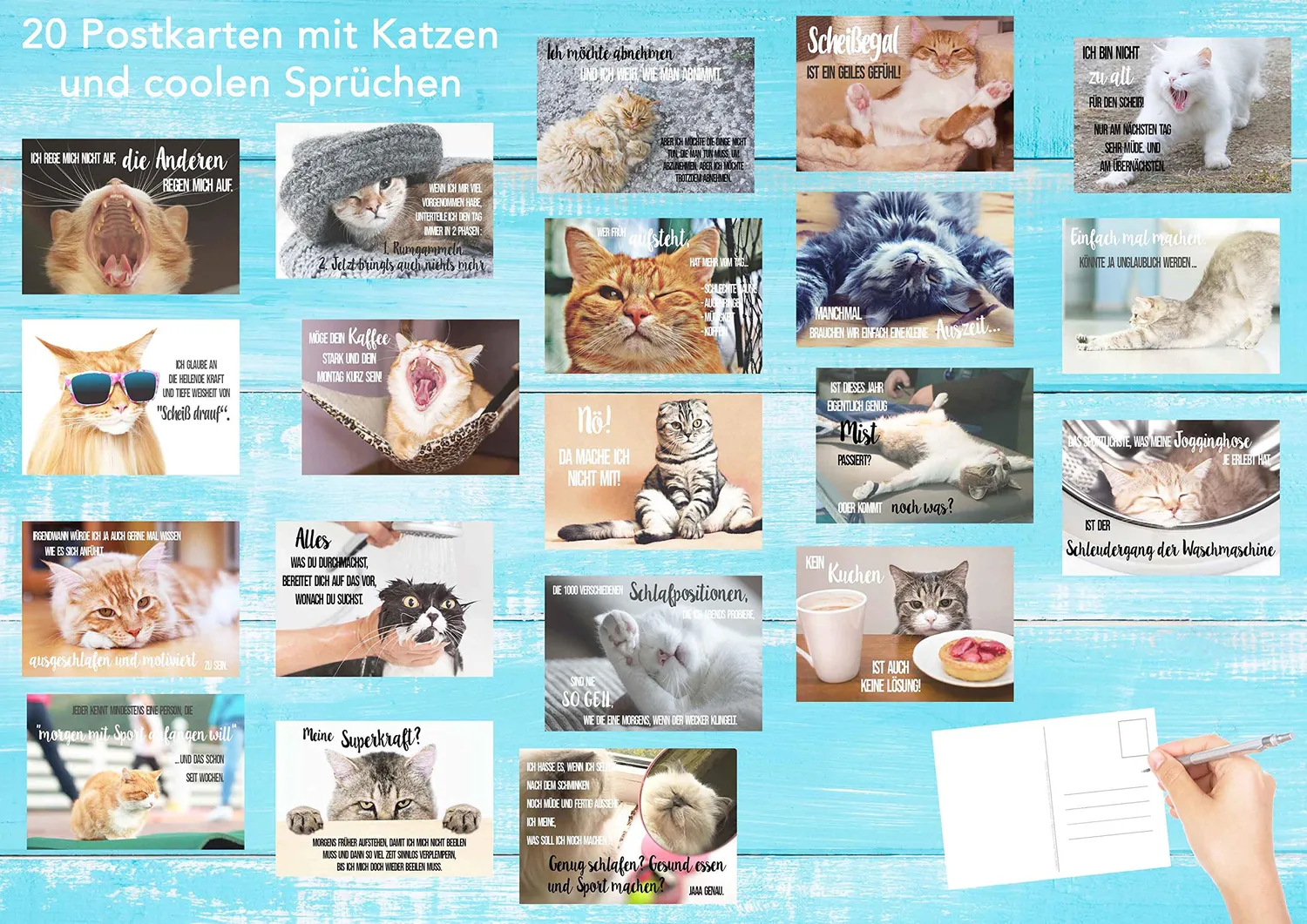 Edition Seidel katten postkaarten 40 stuks met spreuk humor