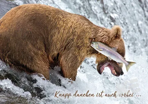 Kurt Eulzer 30-1594 kaarten Comedy Wildlife beer 10 stuks