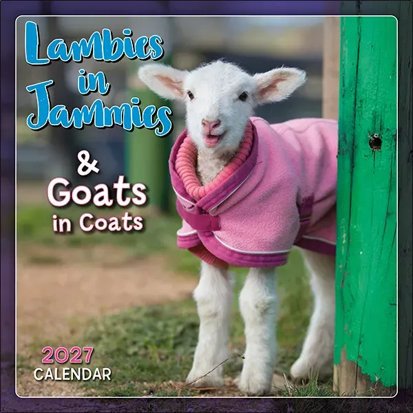 Sellers Publishing Lambies in Jammies 2027 minikalender lammetjes