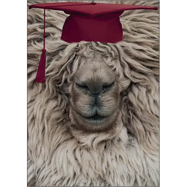 Sellers Publishing Graduation G13267 geslaagd kaarten 4 stuks