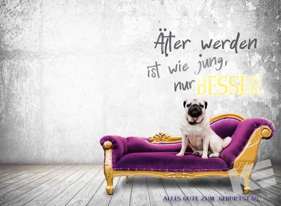 Kurt Eulzer 87-5055 muziekkaart licht hond Forever Young