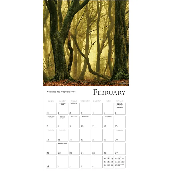 Sellers Publishing Enchanted Pathways 2027 wandkalender bos