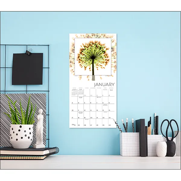 Sellers Publishing Flower Spirits 2027 minikalender bloemen