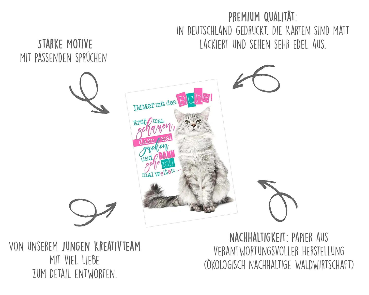 Edition Seidel 23003 postkaarten dieren set 25 grappig