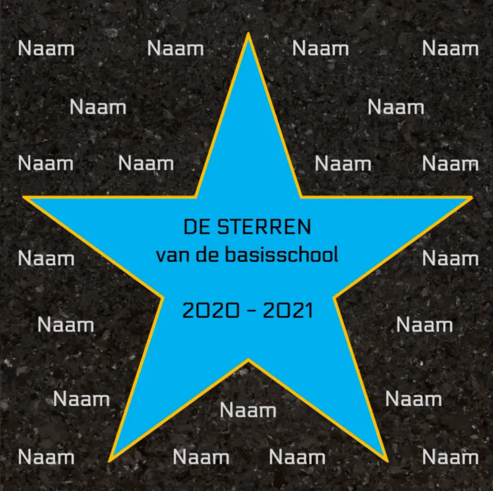 Gozi Groep 8 Ster Blauw stoeptegel afscheid