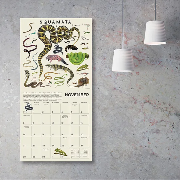 Sellers Publishing Illustrated Animal Kingdom 2027 wandkalender